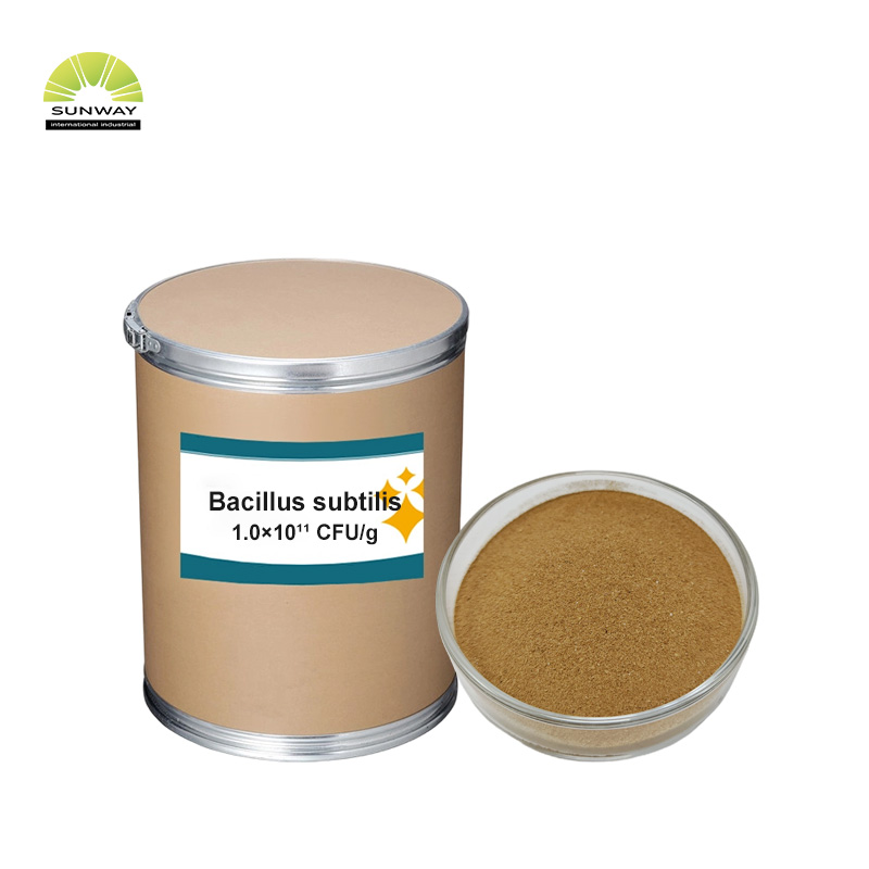 Probiótico Clostridium Butyricum de grado alimenticio para aves de corral, pollos, pollos de engorde, cerdos, ganado lechero, peces, camarones, alimento para animales de compañía