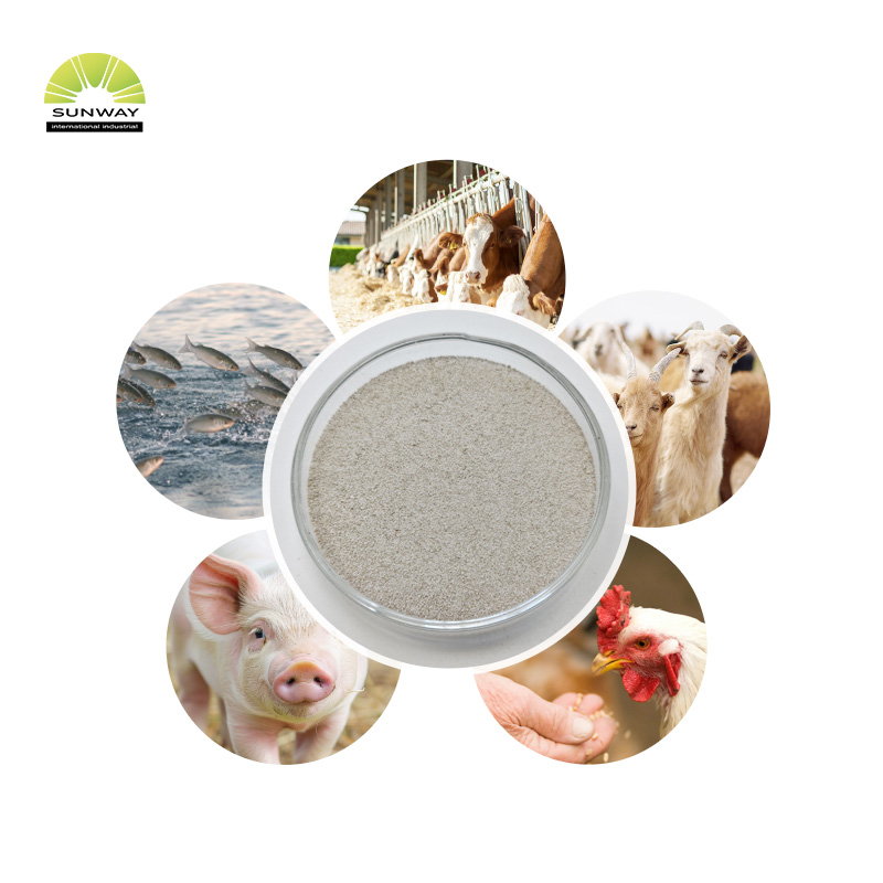 Enzima fitasa de grado alimenticio para aves de corral, fitasa estable ácida en polvo, fitasa 5000 y 10000 disponibles