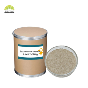Fábrica de 20 mil millones de Saccharomyces Cerevisiae, levadura de cerveza en polvo, aditivo para piensos para aves de corral, ganado, cerdos, ganado ovino