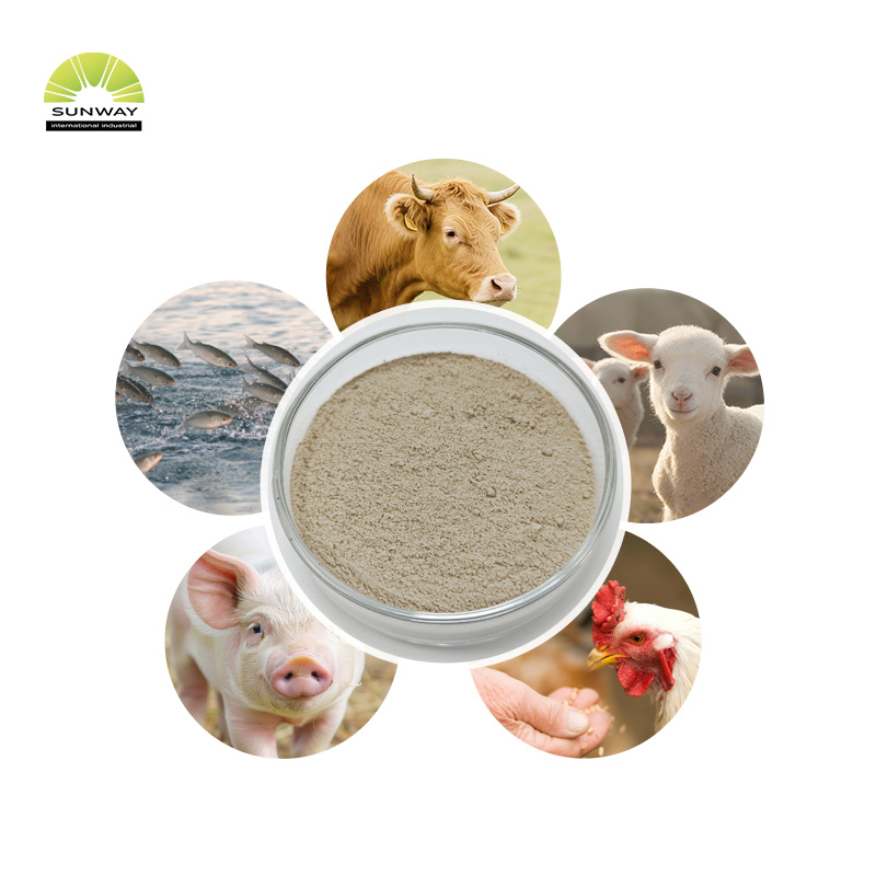Polvo probiótico de Bacillus Coagulans de Bacillus Coagulans de grado alimentario para aves de corral