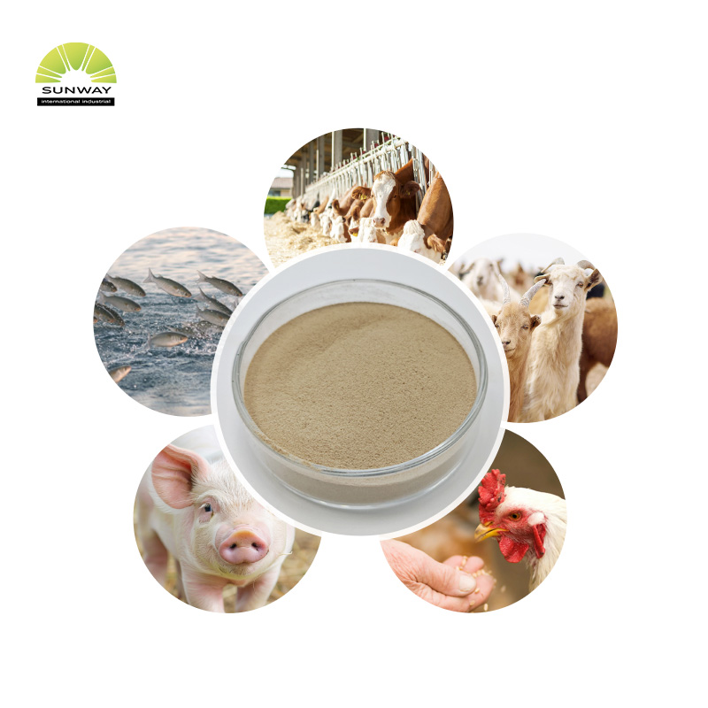 Aditivos alimentarios 25 kg bolsa 50000u/g polvo de enzima beta dextranasa para mejorar la inmunidad