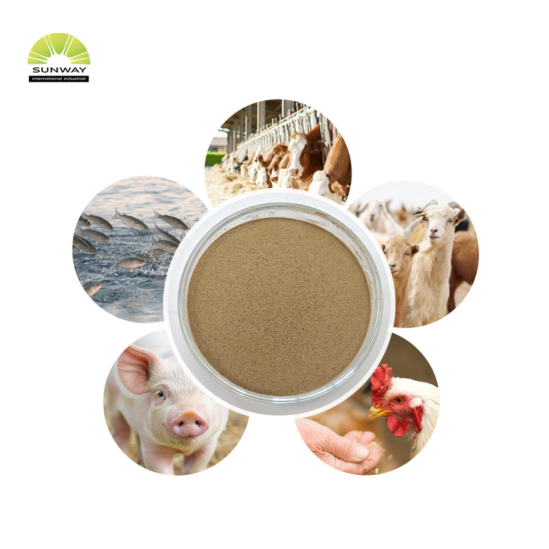 Alimente el grado 50000u/g de la enzima mananasa beta mananasa para mejorar la inmunidad animal