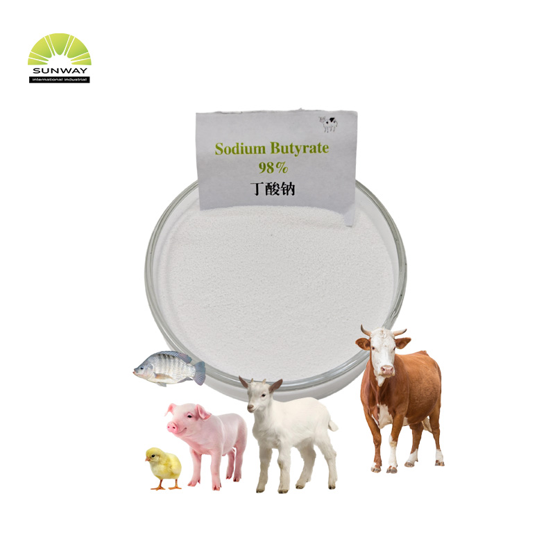 Grado alimenticio 98% 40% 70% 90% Precio del polvo de butirato de sodio