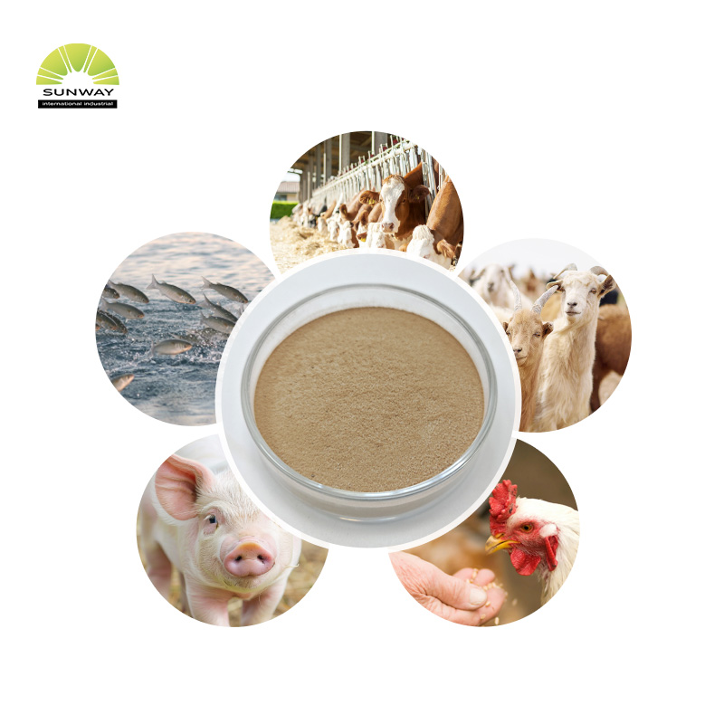 Precio de polvo de enzima alfa-amilasa termoestable de alta calidad