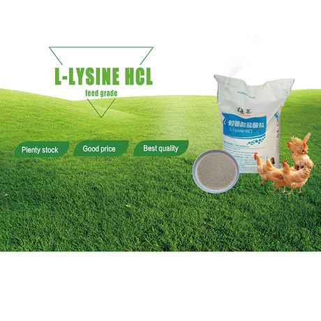 Mejor precio l Lisina HCl para aditivos para aves de corral 98.5% de calificación de alimentación L-lisina