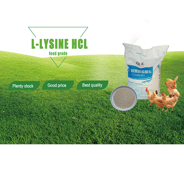 Aves de corral de calificaciones de clorhidrato de l-lisina L-lisina