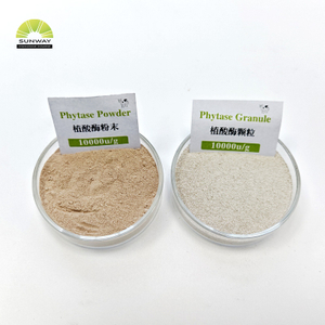 Enzima fitasa de grado alimenticio para aves de corral, fitasa estable ácida en polvo, fitasa 5000 y 10000 disponibles